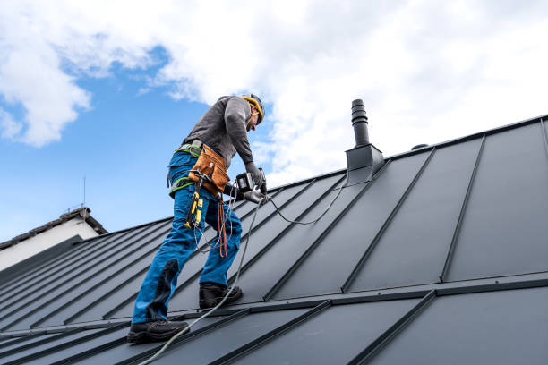 Roof Moss and Algae Removal in Wimberley, TX